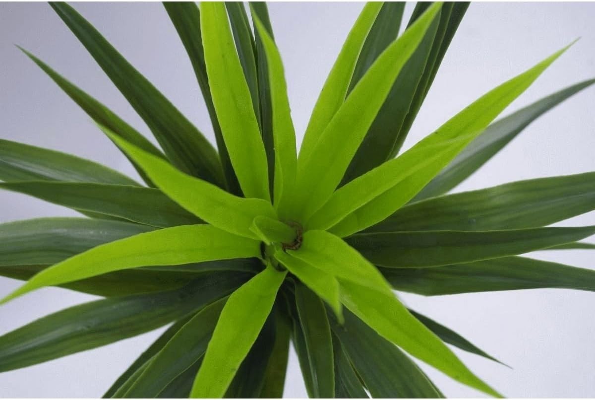Artificial Yukka Tree 90cm Lifelike Spiky Indoor Potted Plant Home Decoration