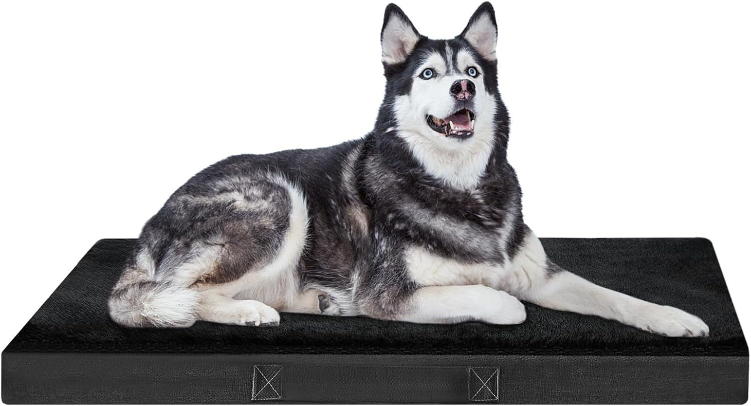 Small Orthopedic Dog Sofa Bed 71x48x15cm Waterproof Washable