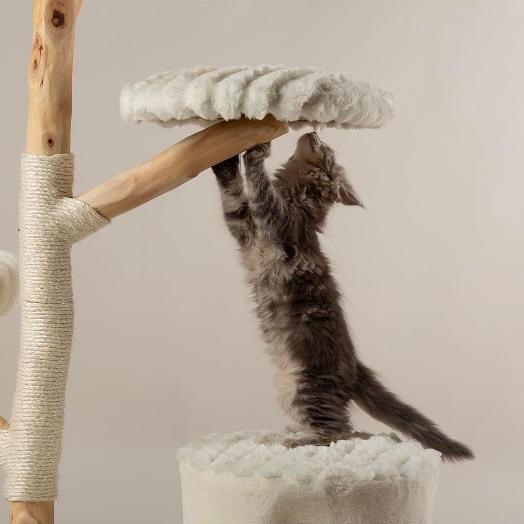 Large Luxury Cat Tree Scratching Tower with Natural Wood Perches & Condo