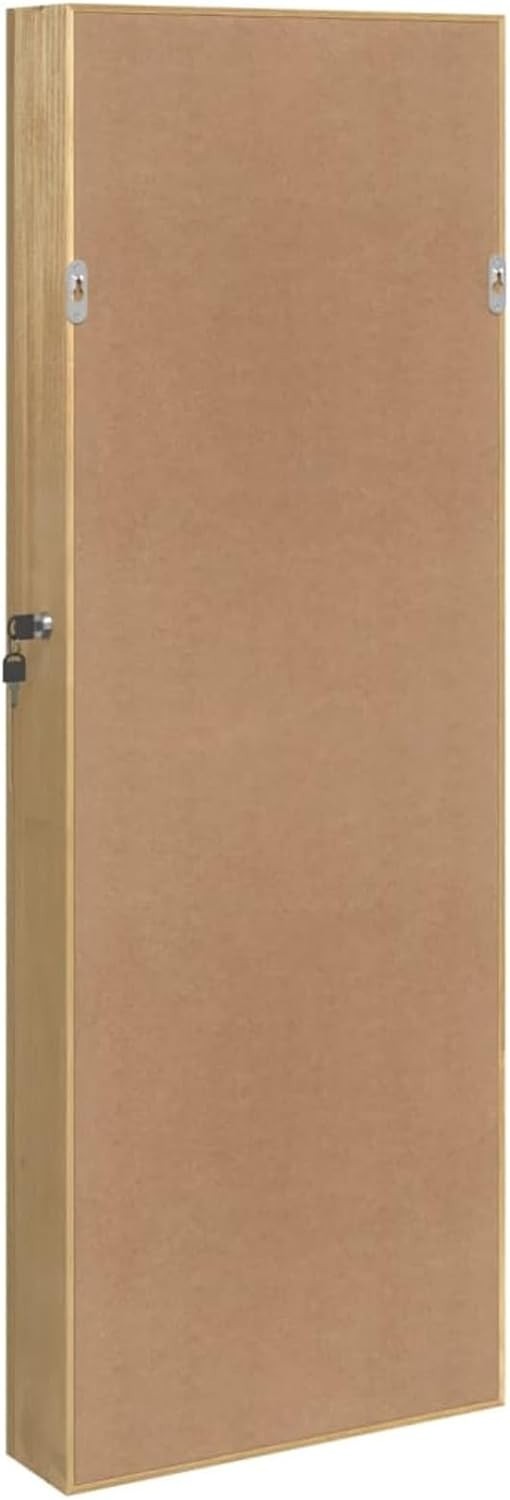 Brown Wall Mounted Mirror Jewelry Cabinet Lockable Slim Storage Organizer