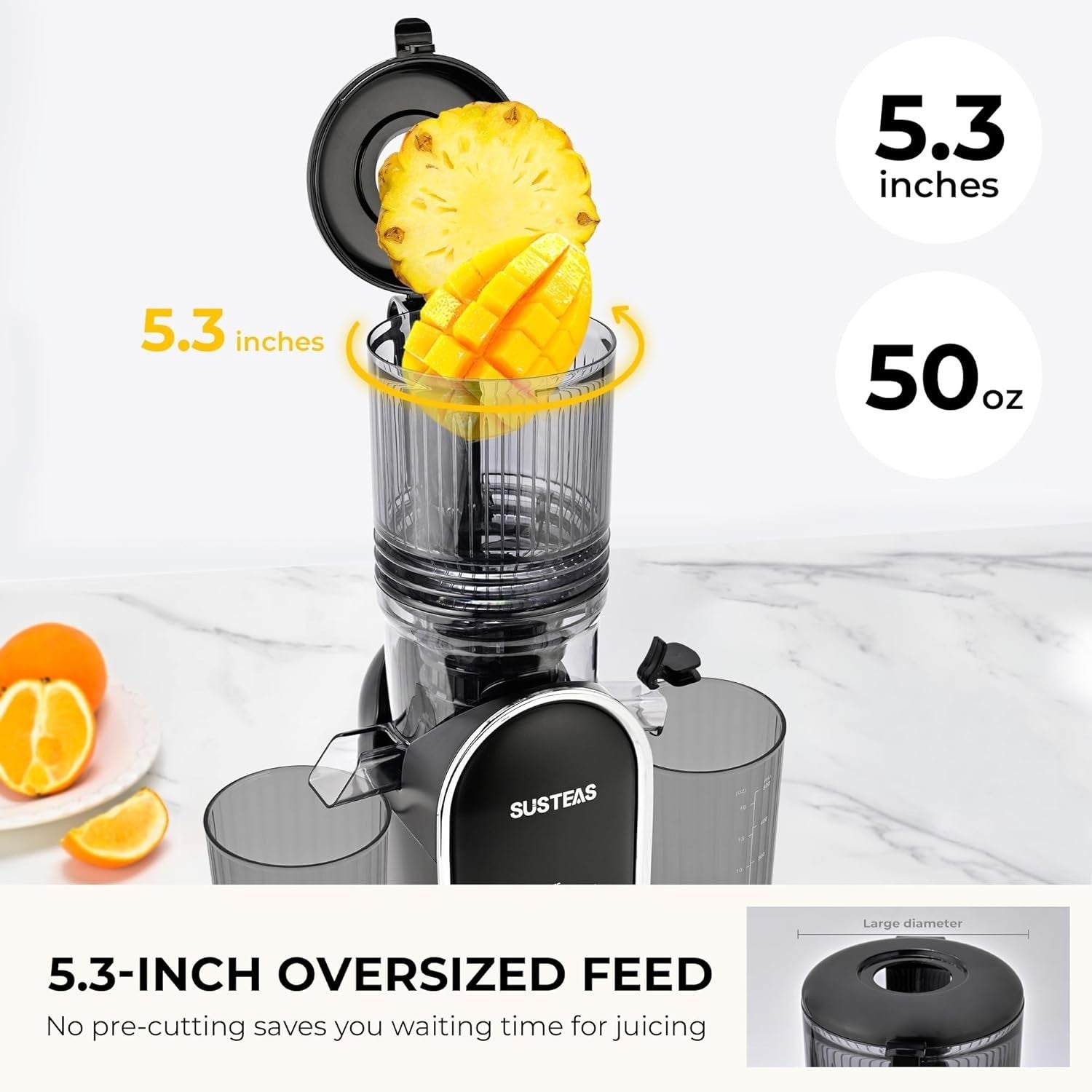 Cold Press Juicer 300W 5.3in Wide Feed Chute Whole Fruit High Yield