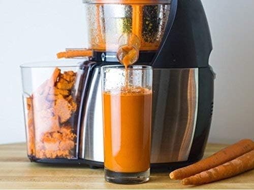 Slow Masticating Juicer Multipurpose Smoothie Frozen Dessert Portable 150W