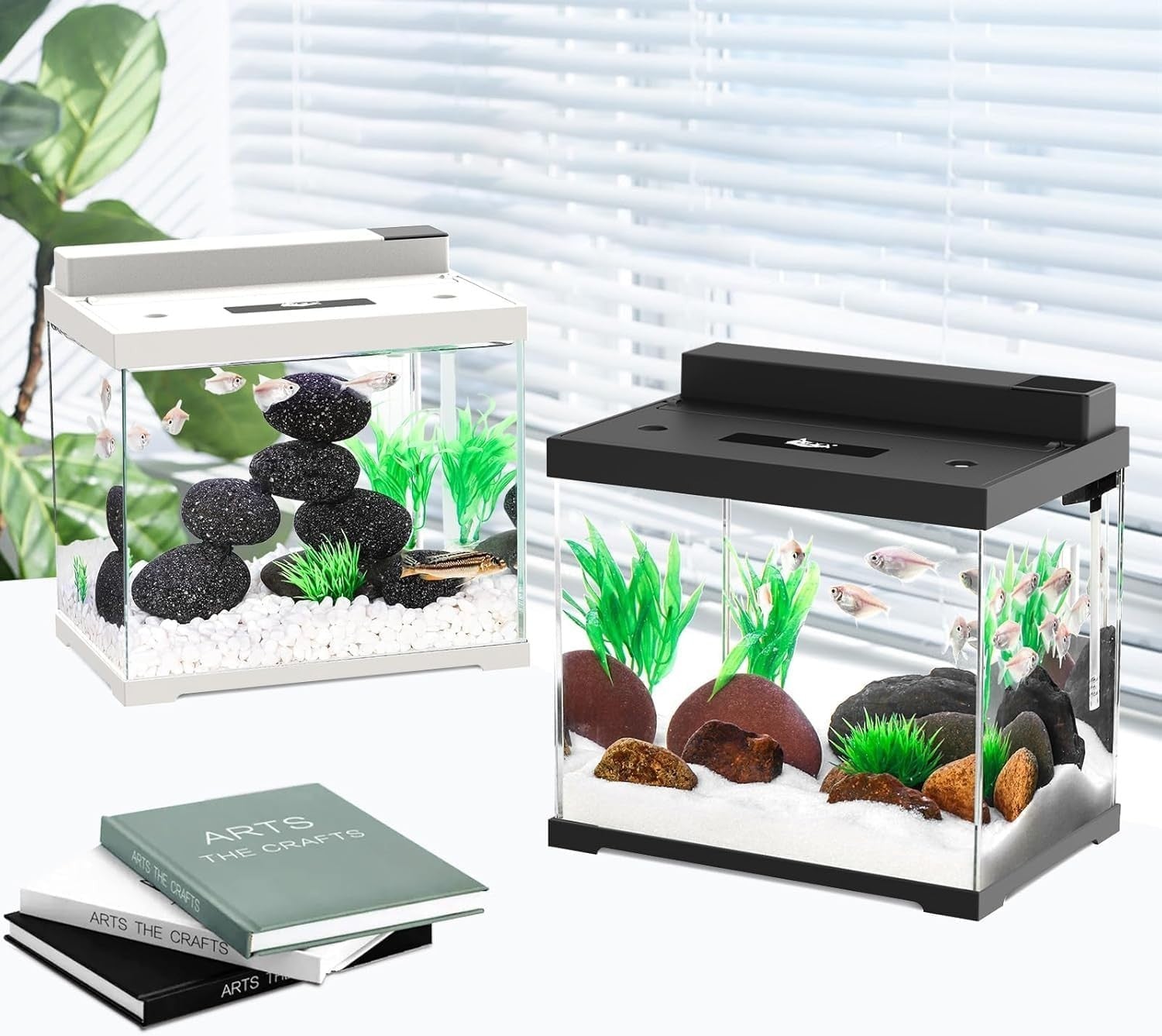 9L Small Glass Fish Tank with Dual Filtration & 4-Color LED Light