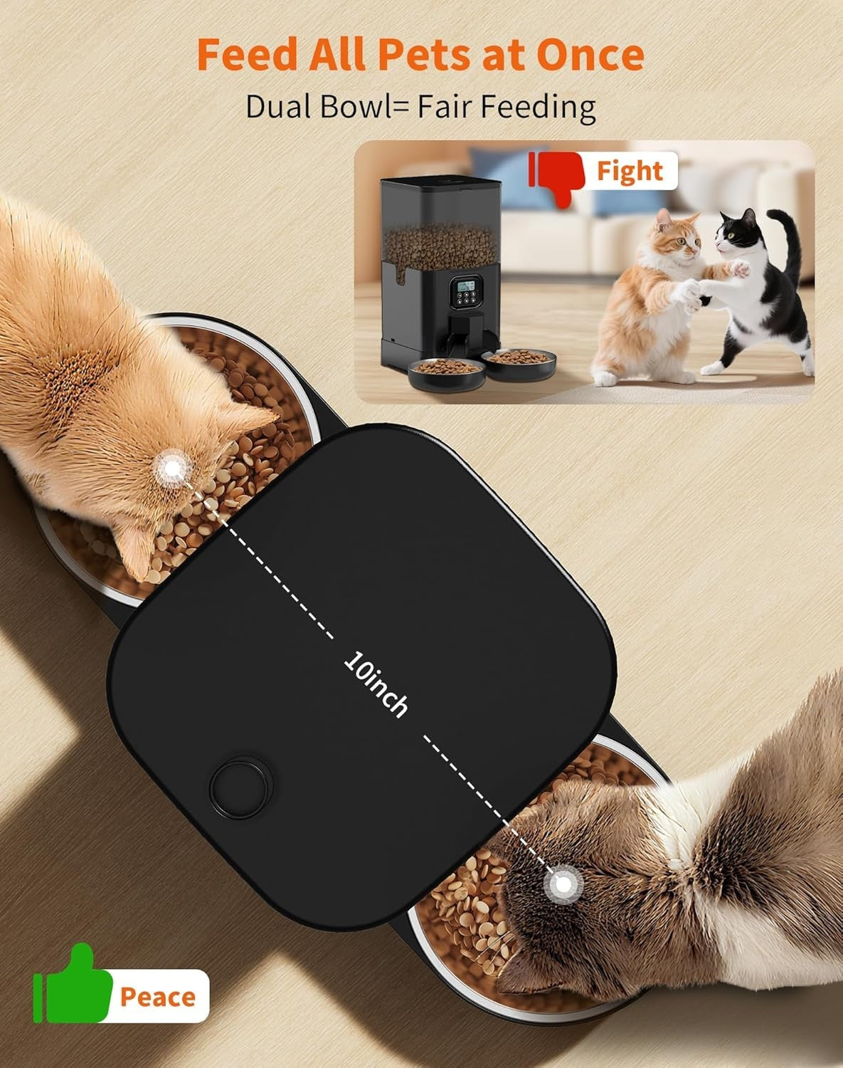 Automatic Cat Feeder for 2 Cats 3.5L Timed Food Dispenser Dual Bowl
