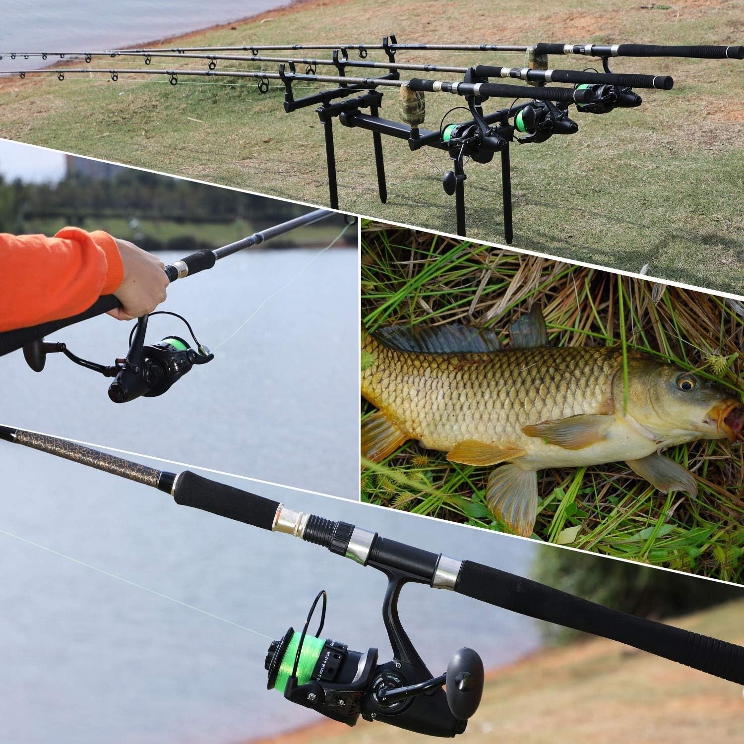 4-Section Carbon Fiber Carp Rod | Portable Spinning Fishing Rod for Travel
