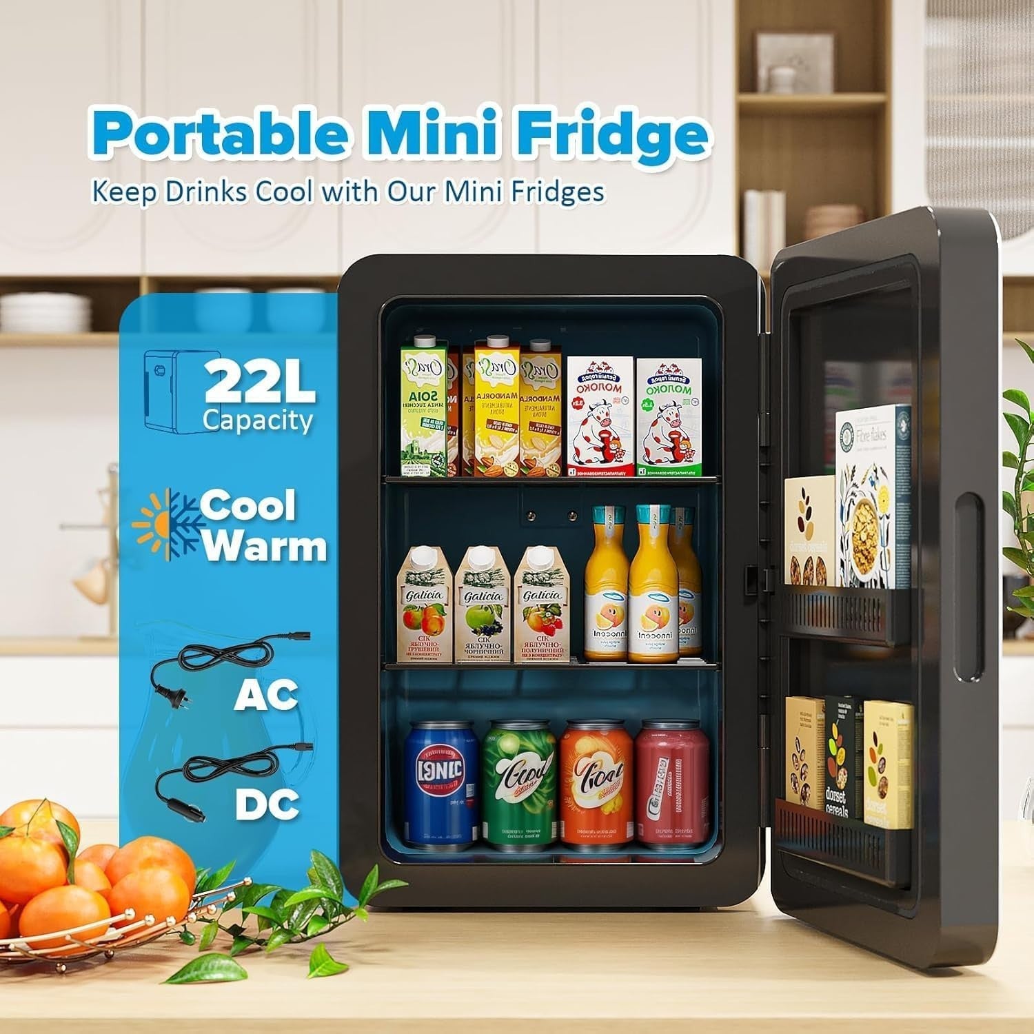 22L Mini Fridge Portable Cooler & Warmer Bedroom Office Car Black