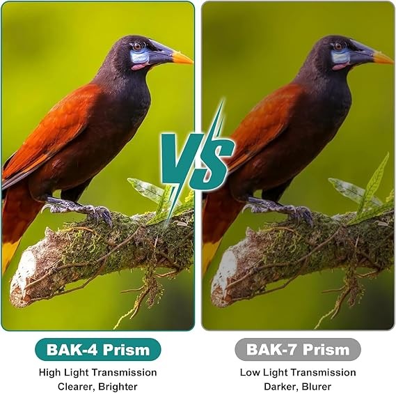 12x25 Compact Waterproof Binoculars with BAK4 Prism for Travel & Bird Watching