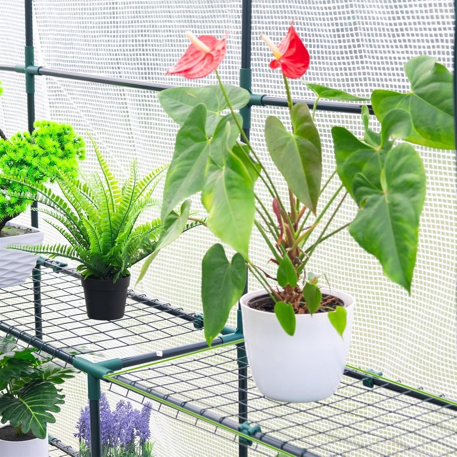 Walk-In Greenhouse 3 Tier 12 Shelves | Heavy Duty UV-Resistant PE Cover