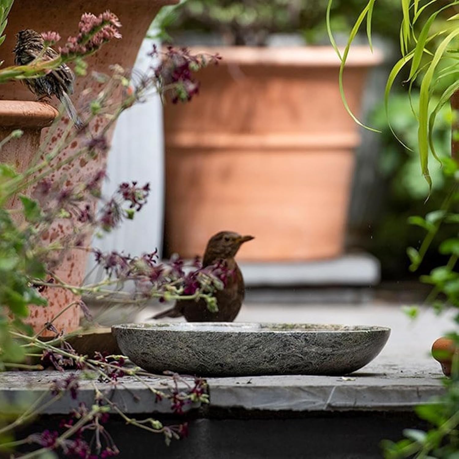30cm Green Marble Bird Bath | Polished Garden Bowl for Birds & Bees