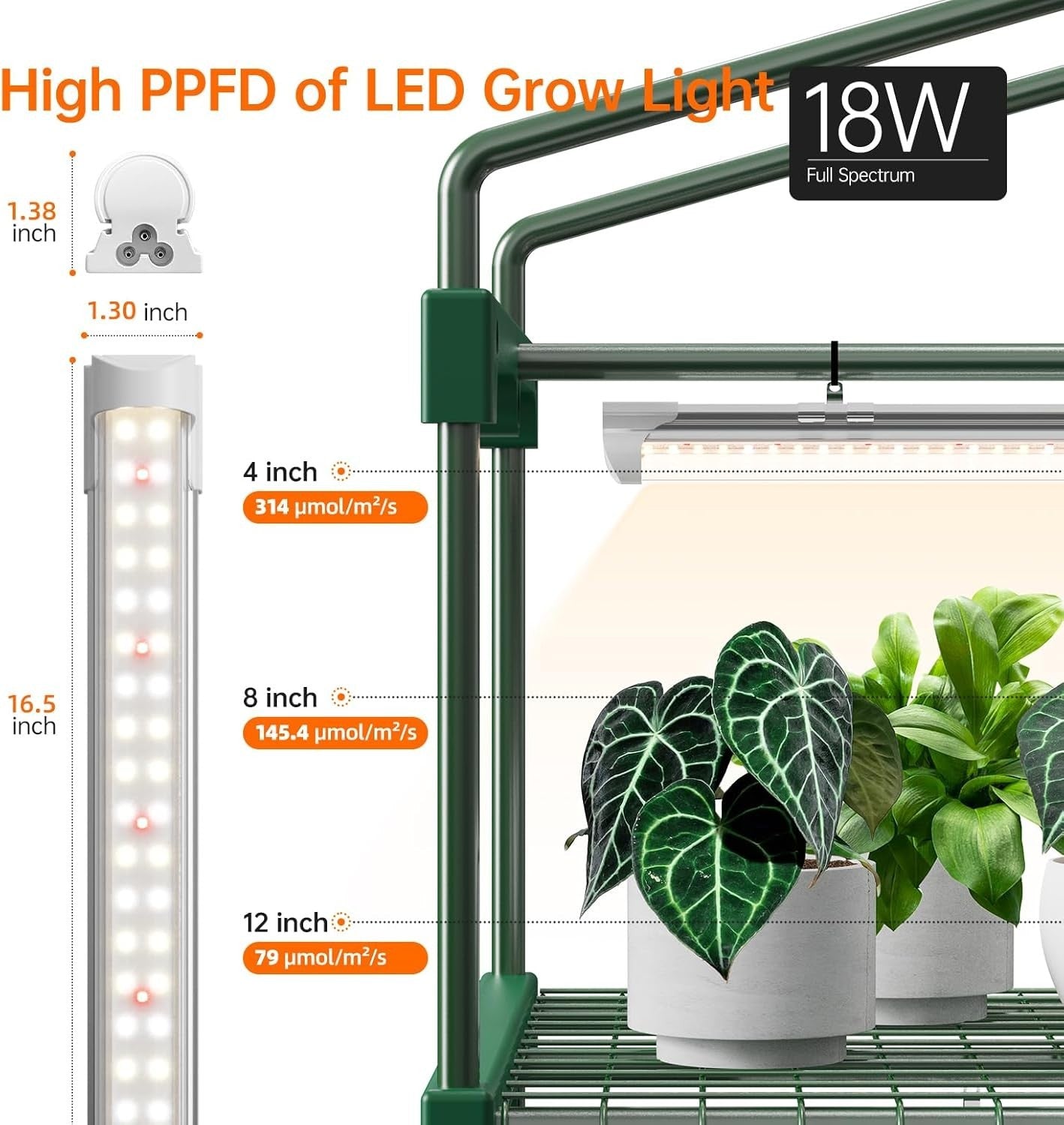 4 Tier Indoor Greenhouse with LED Grow Lights | Waterproof Base & Timer