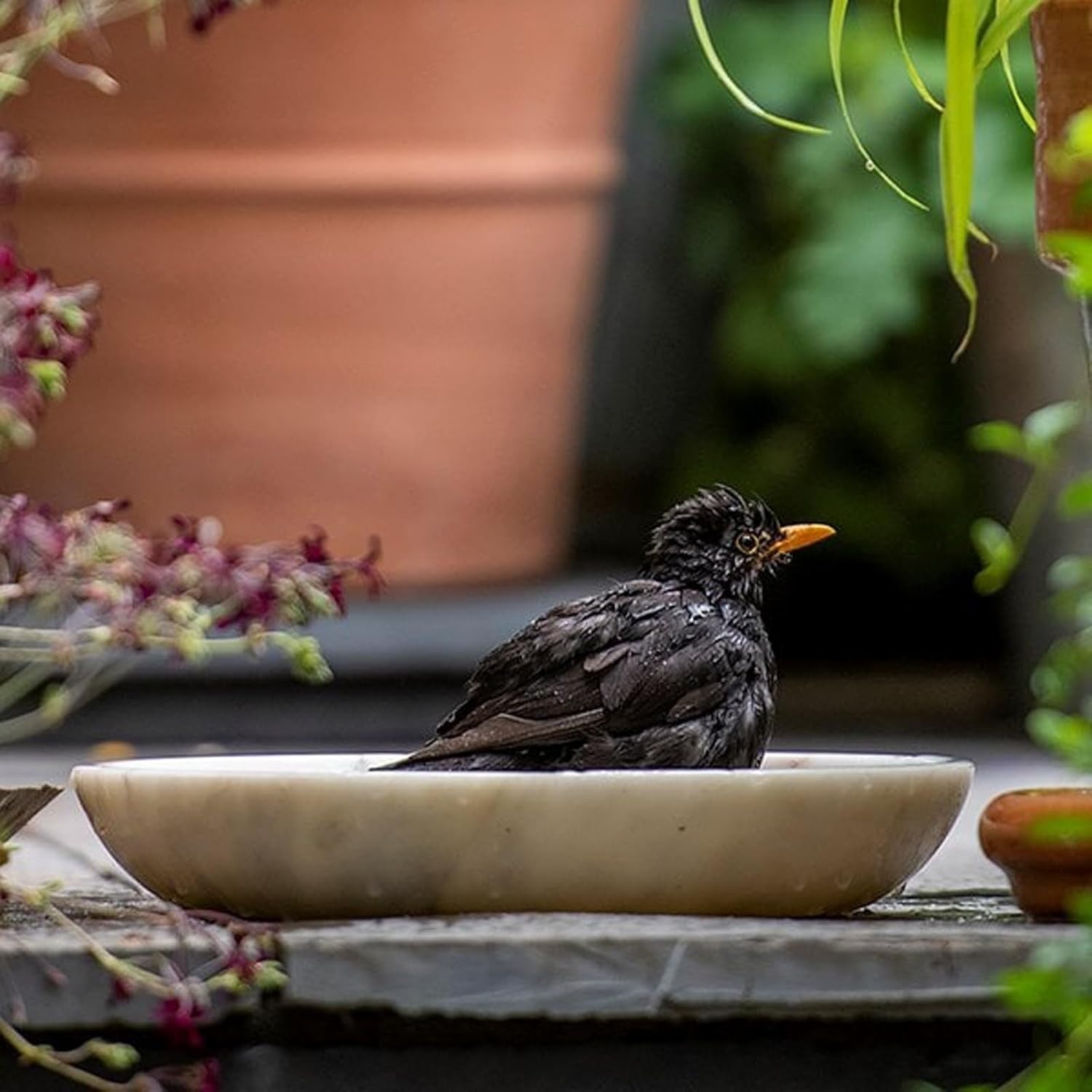30cm White Marble Bird Bath Bowl – Garden Wildlife Oasis for Birds & Bees