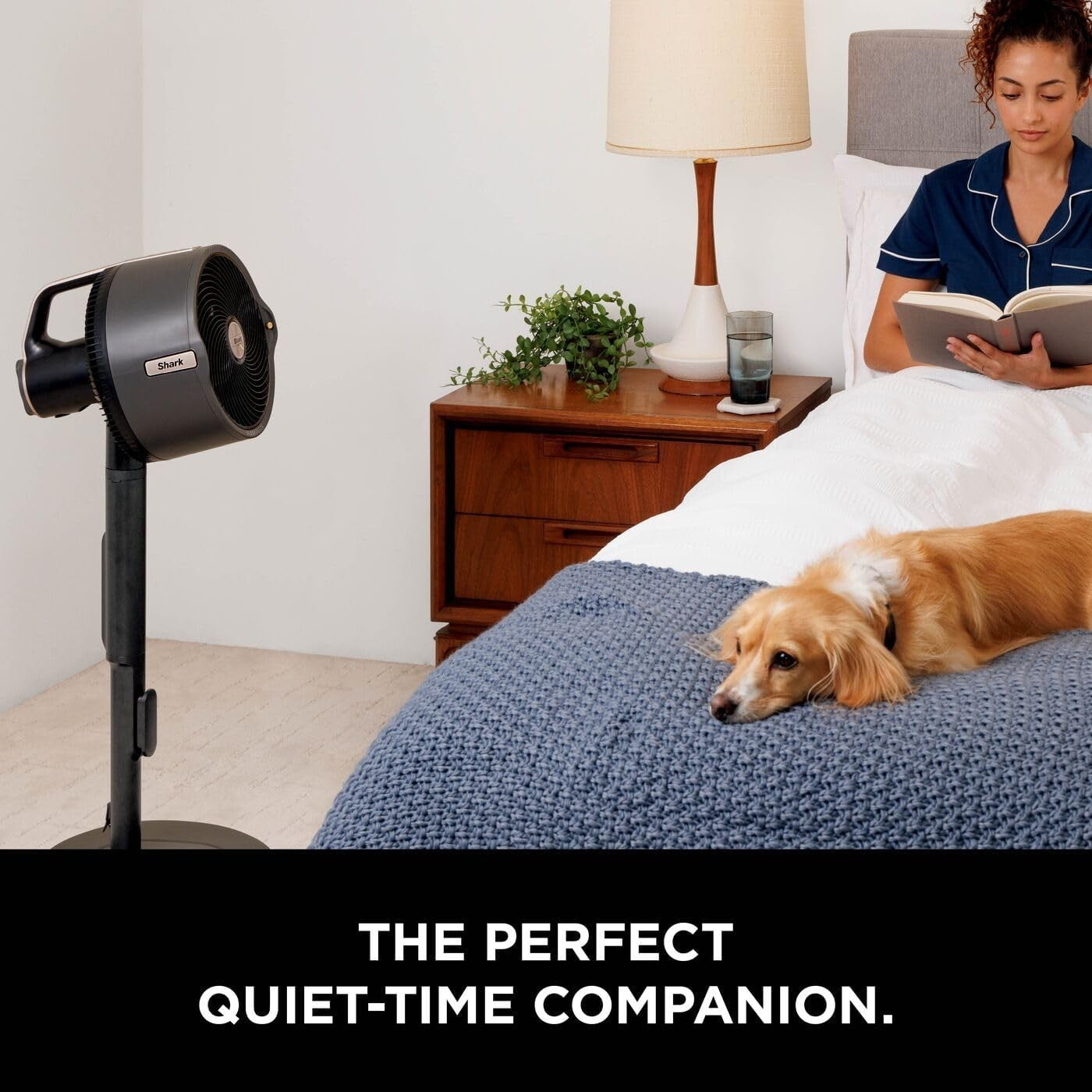 Cordless Indoor Outdoor Fan 5-Speed 24H Runtime Misting Pedestal Table Cooling