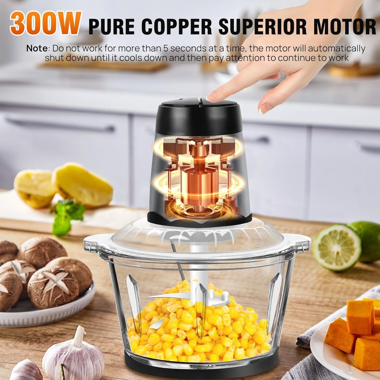 2L Electric Food Chopper Meat Grinder Glass Bowl 300W 2 Speed