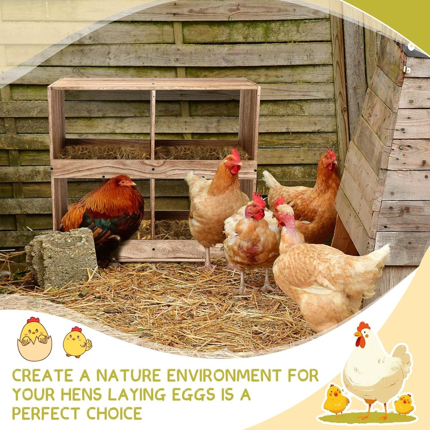4 Compartment Wooden Chicken Nesting Boxes Easy Assembly