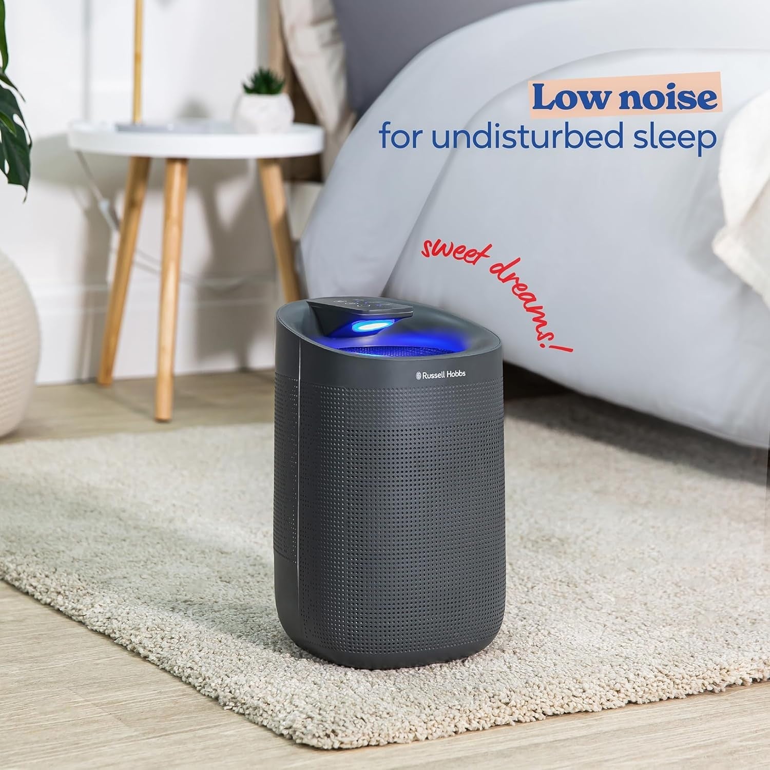2-in-1 Dehumidifier Air Purifier 750ml Day Ozone Free 20m² Grey