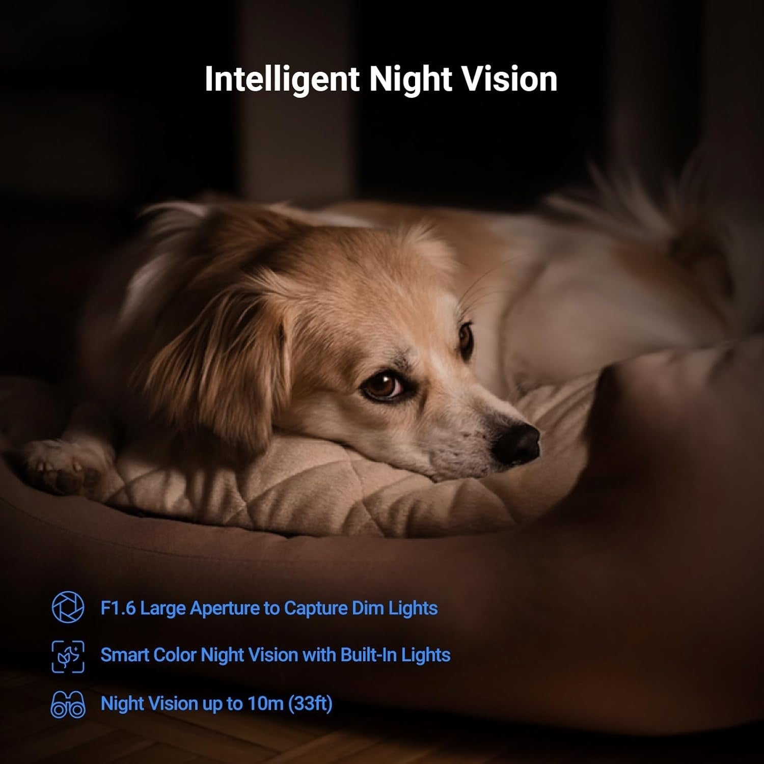4K Indoor Security Camera 360° Pet Baby Monitor WiFi 6 Night Vision