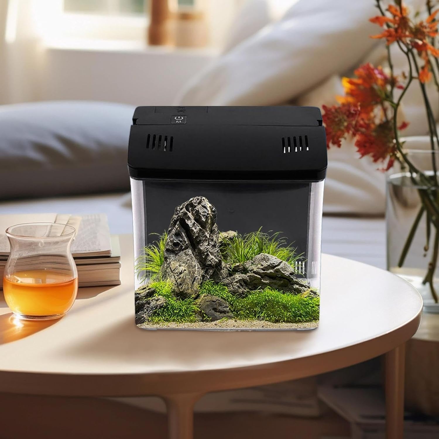 Small Desktop Fish Tank with Filter | Quiet Aquarium for Home & Office