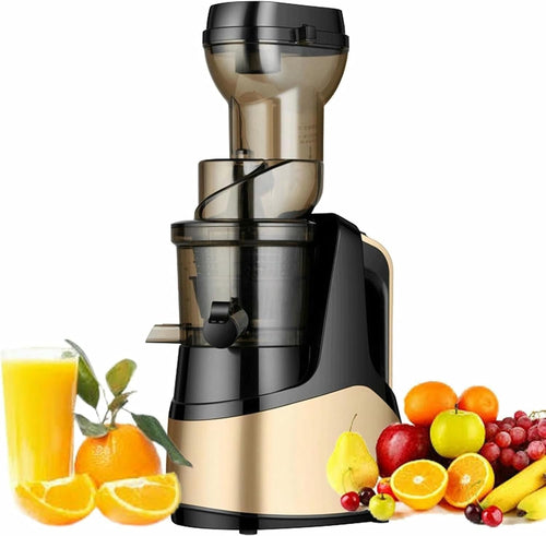 Cold Press Slow Juicer Large Feed Chute 1000ml Low RPM Reverse Function
