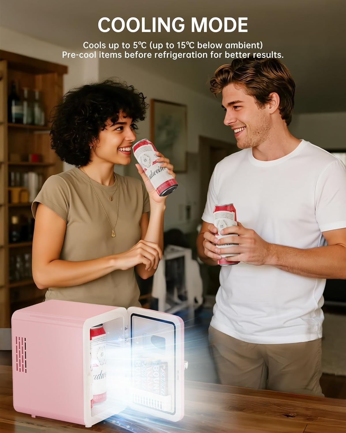 4L Mini Fridge Pink Portable AC/DC Cooler Warmer Bedroom Car Use