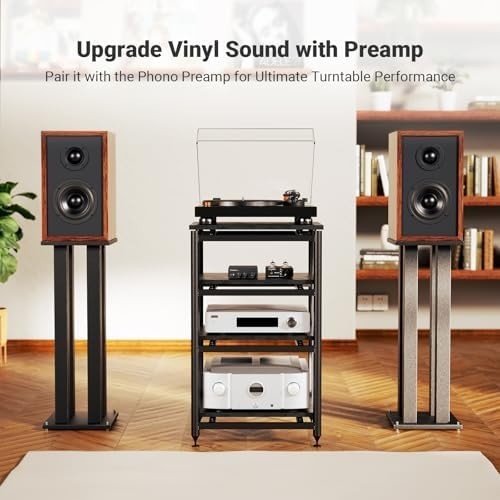 Mini HiFi Stereo Amplifier 2-Channel 600W Class D Passive Speaker Amp