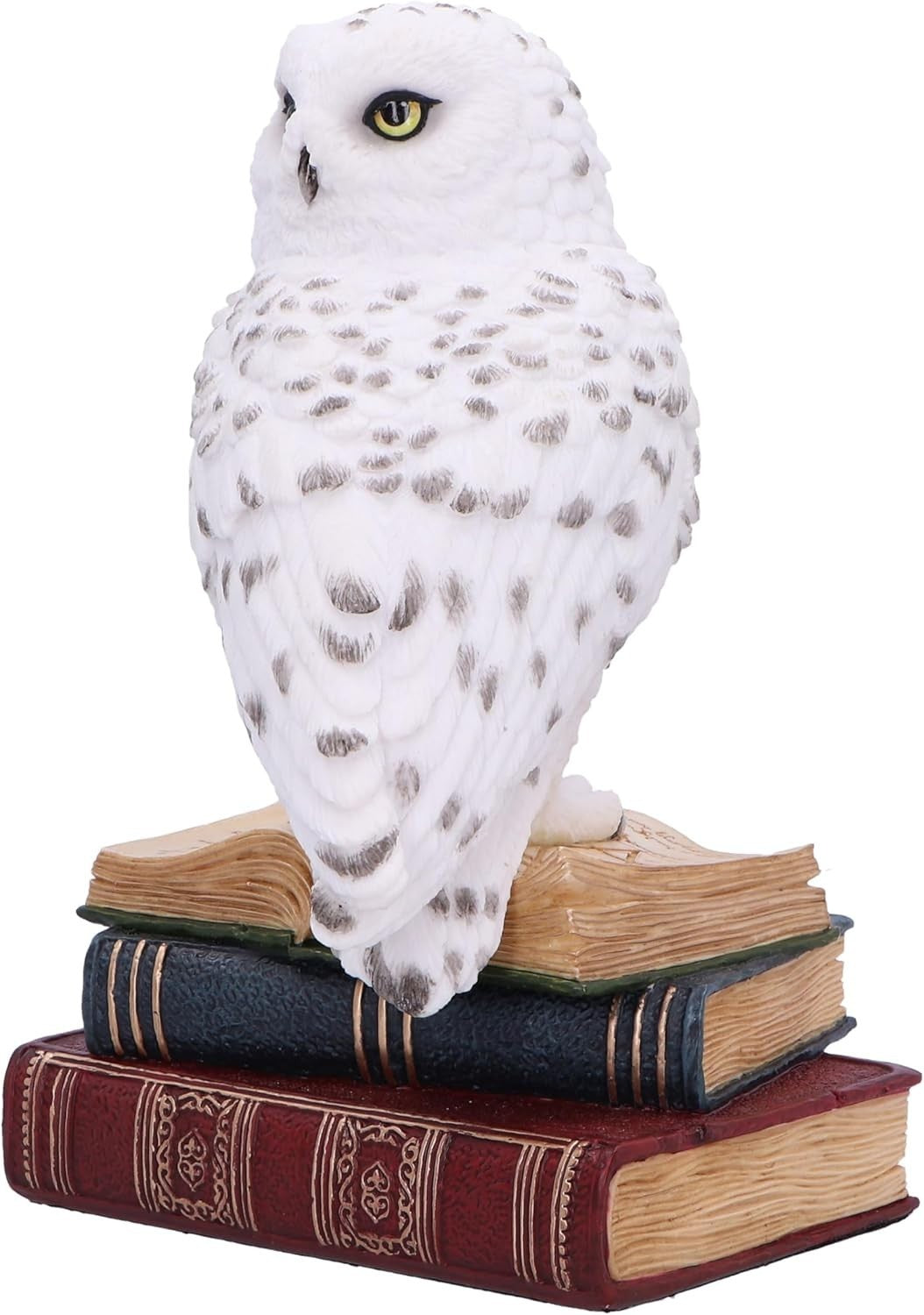White Owl Figurine on Books 17cm Resin Sculpture Decor Wise Animal