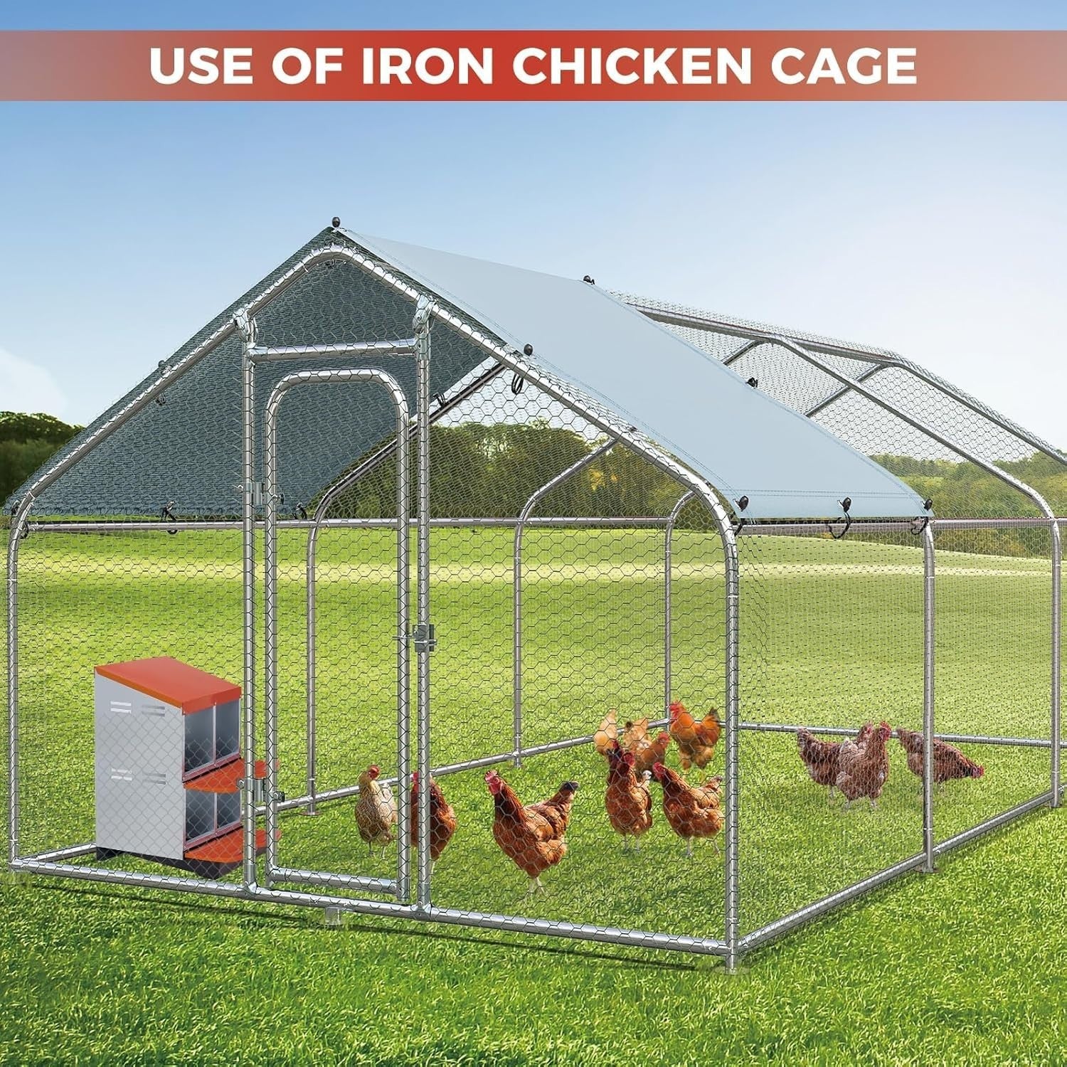 4 Chamber 2 Tier Chicken Nesting Box Steel Pull Out Tray