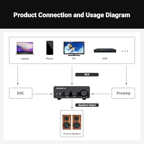 Mini HiFi Stereo Amplifier 2-Channel 600W Class D Passive Speaker Amp