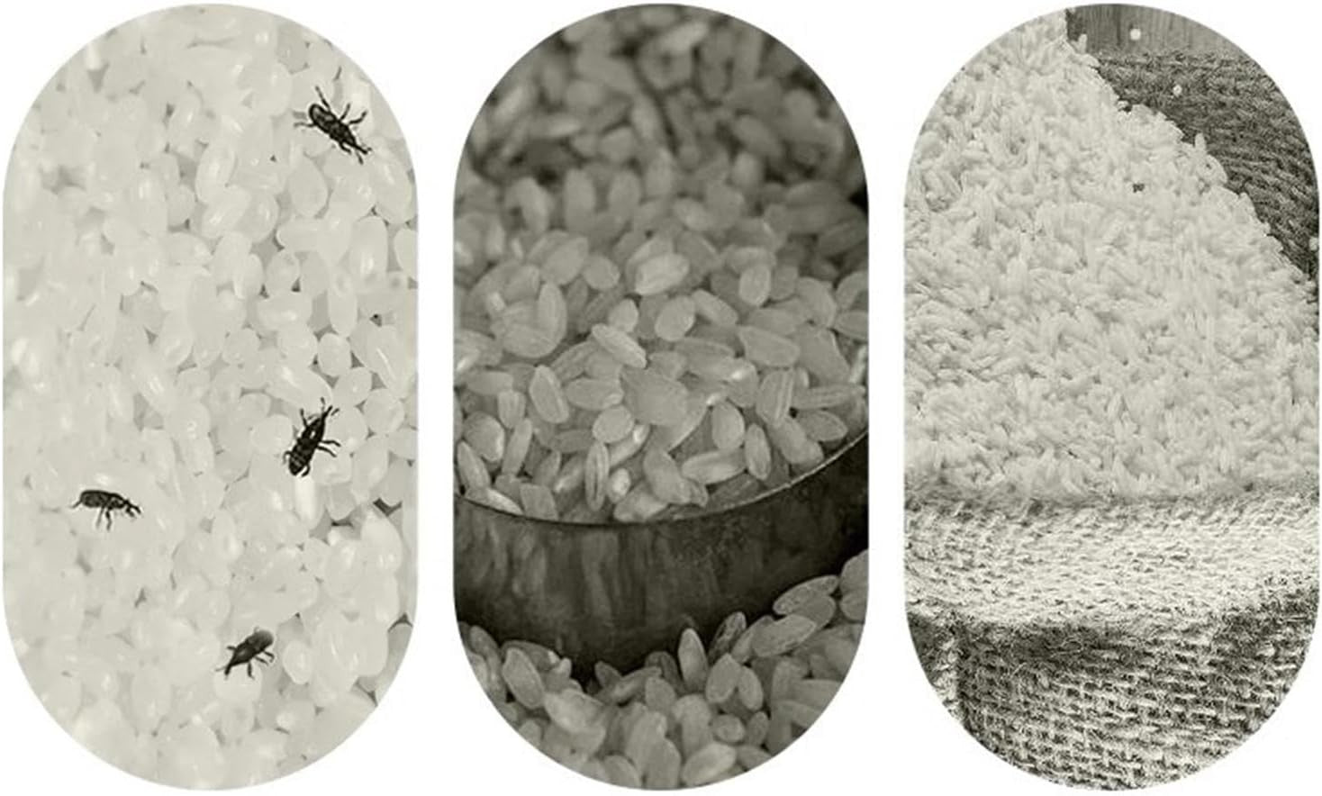 10KG Airtight Rice Storage Container with Measuring Cup Grain Dispenser