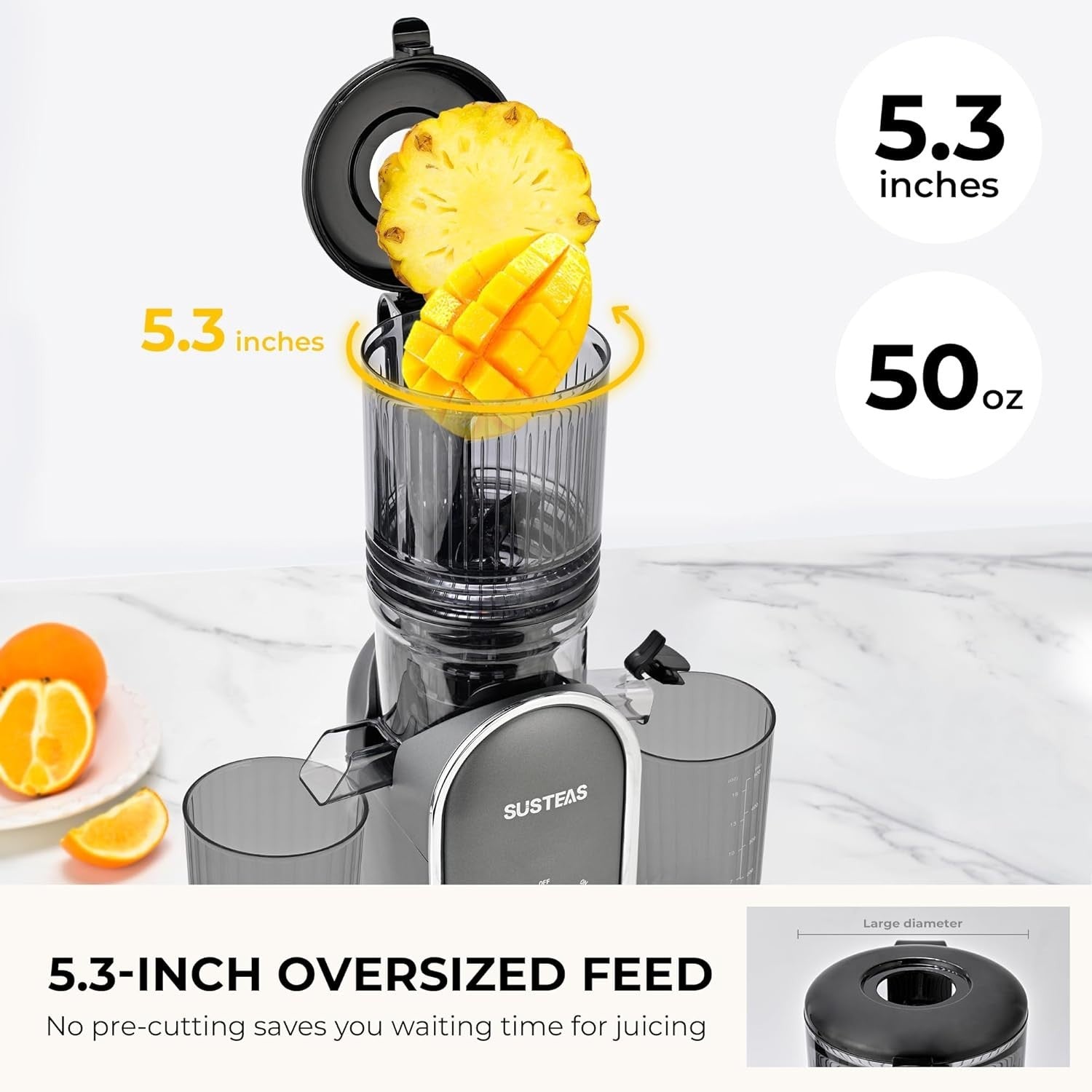 Slow Cold Press Juicer 300W 5.3in Feed Chute Whole Fruit High Yield