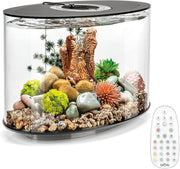 15L Black Acrylic Oval Aquarium with Remote LED Lights & 5-Step Filter