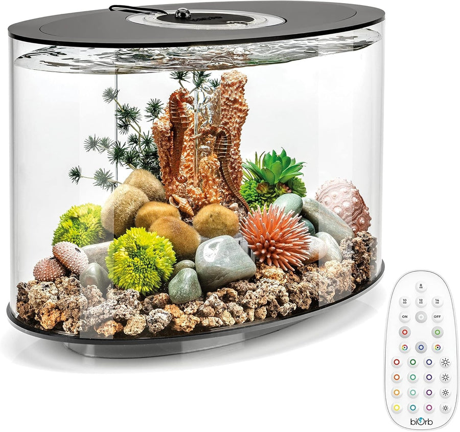 15L Black Acrylic Oval Aquarium with Remote LED Lights & 5-Step Filter