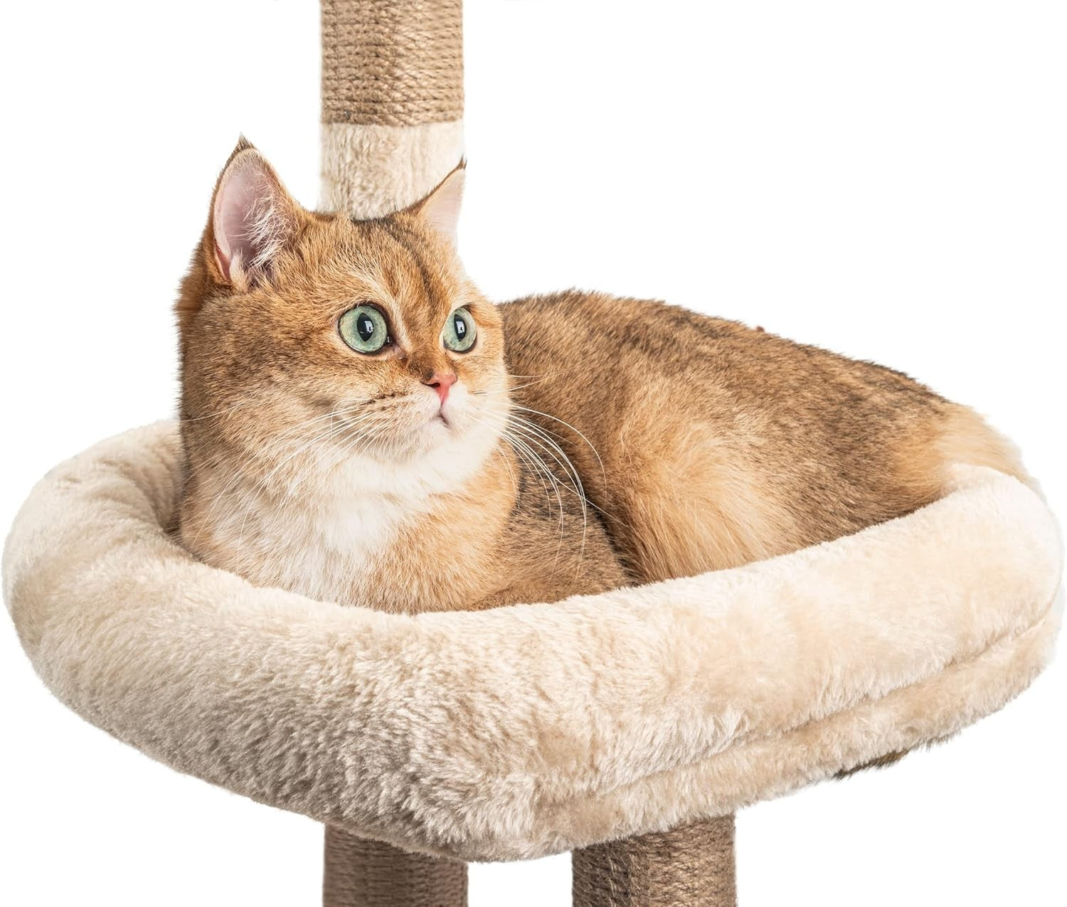 145cm Cat Tree Tower Multi Level Scratching Post Indoor Climber Hammock