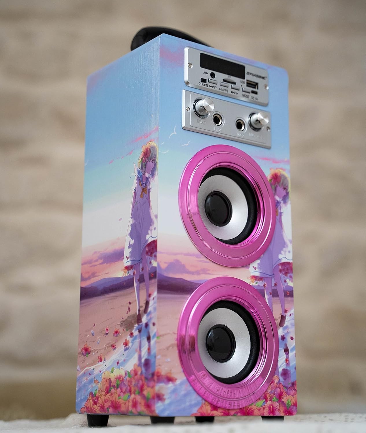 Portable Karaoke Machine Bluetooth 2 Mics LED Lights Kids Teens Fun