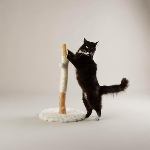 Cat Scratching Post Tree with Natural Wood Sisal Column Plush Base Indoor