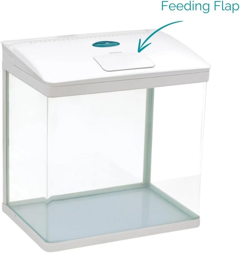 29L Nano Fish Tank with LED Light & Tray Filter Curved Glass Aquarium