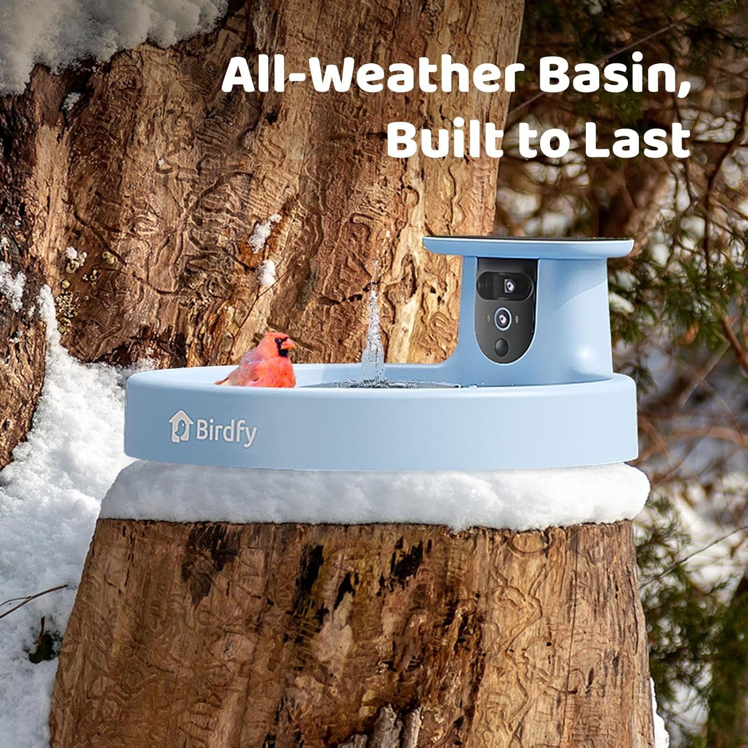 Smart Solar Bird Bath with Camera Dual Lens Auto Video Bird Feeder Fountain