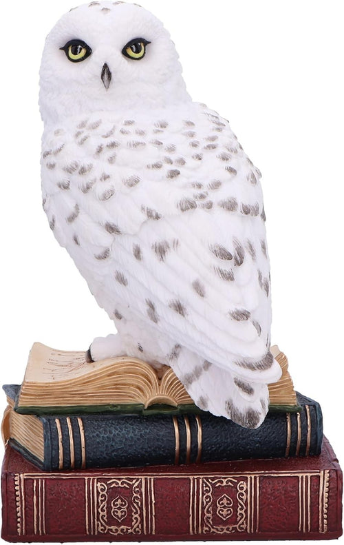 White Owl Figurine on Books 17cm Resin Sculpture Decor Wise Animal