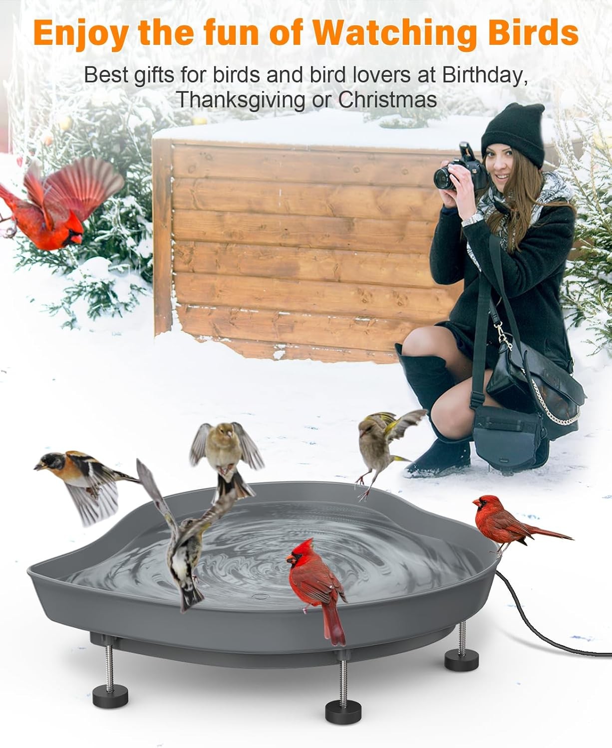 60W Heated Bird Bath Outdoor Winter Feeder Thermostat Anti-Freeze