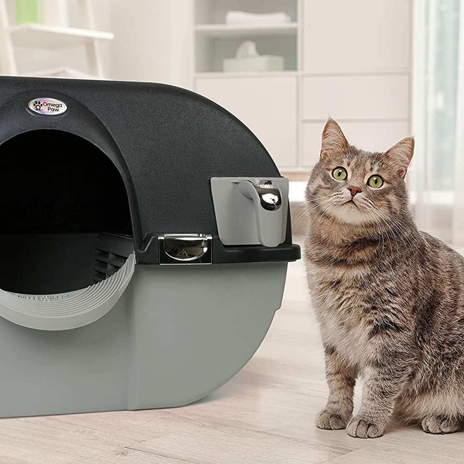 Self Cleaning Cat Litter Box Roll n Clean No Scoop Pull Out Tray