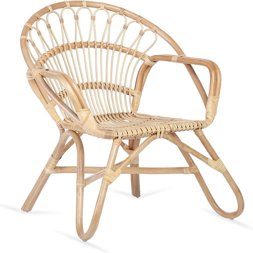 Nordic Rattan Wicker Armchair Indoor Cane Lounge Chair Living Room