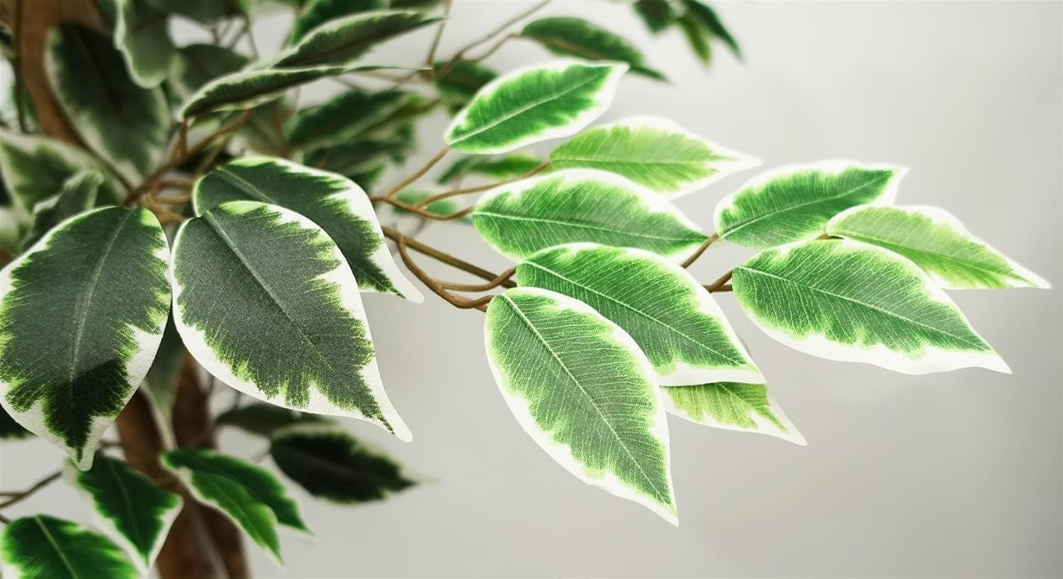 150cm Artificial Two-Tone Variegated Ficus Tree in Pot Indoor Home Garden Decor