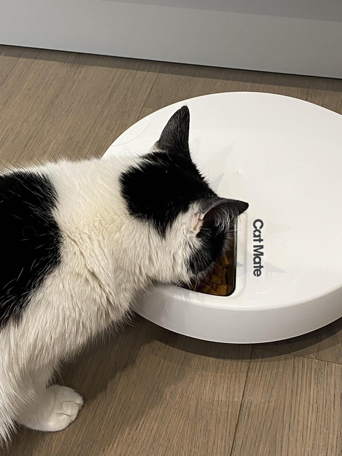 Automatic Pet Feeder 5 Meal Digital Timer Wet Dry Food Cat Dog