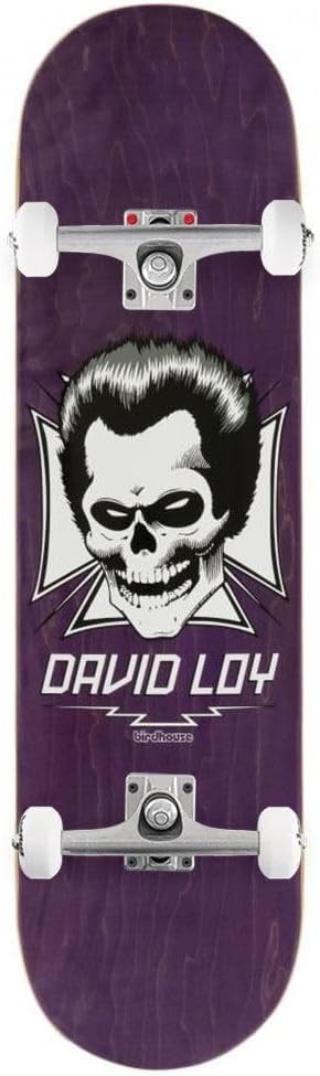 Pro Complete Skateboard 8.38 Skull Graphic Street Trick Board