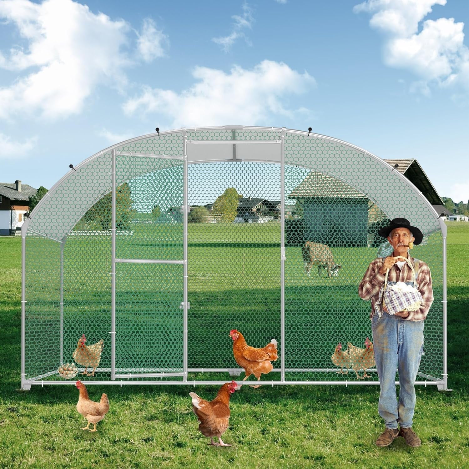 Walk In Chicken Run Galvanised Steel Poultry Enclosure 3x2x2m