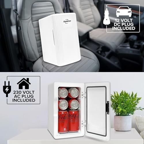 6L Mini Fridge White Retro Cooler & Warmer Portable 12V AC/DC