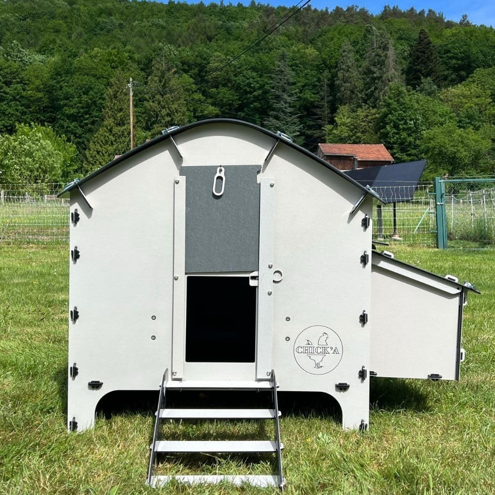 Medium Plastic Chicken Coop House Waterproof 6 Hens