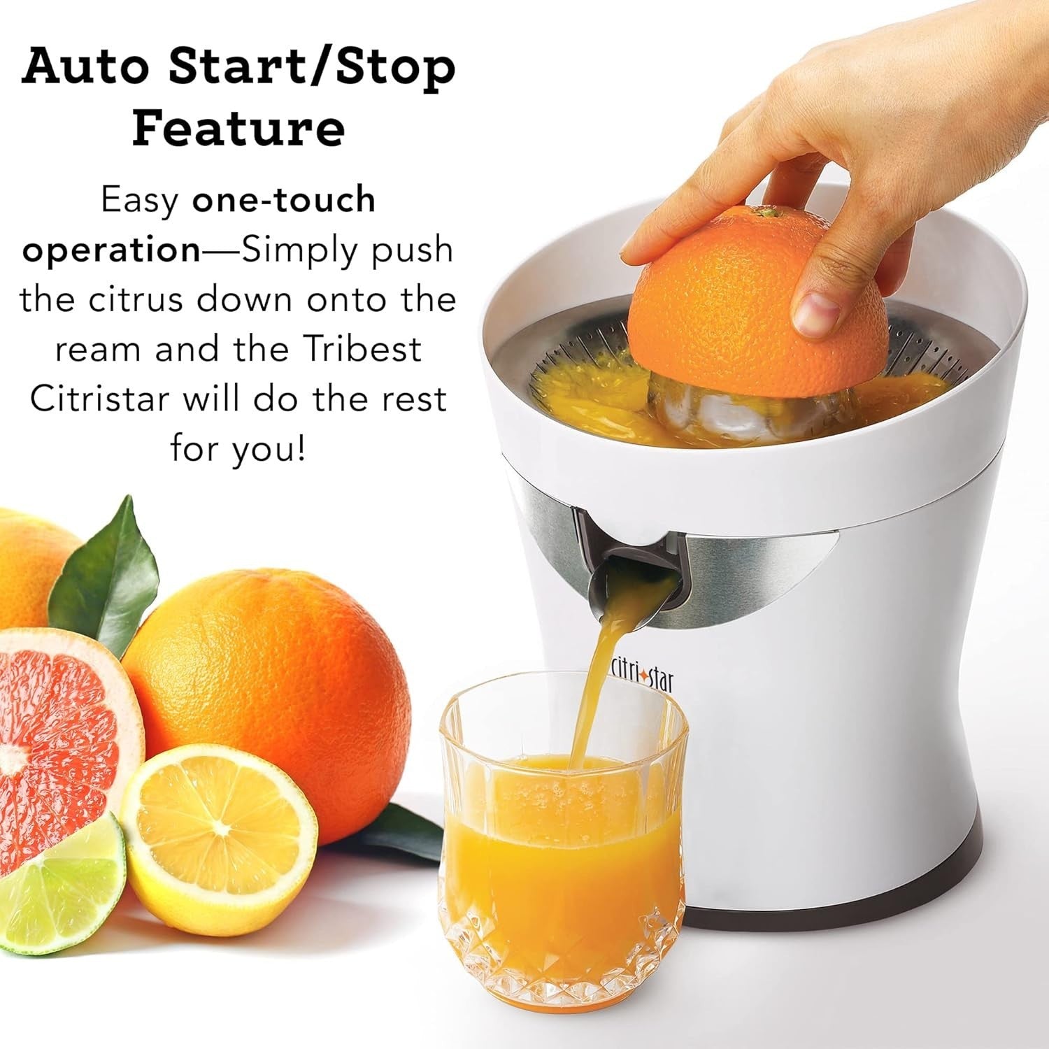 Electric Citrus Juicer Quiet Powerful Motor Drip Free Easy Clean 0.6L