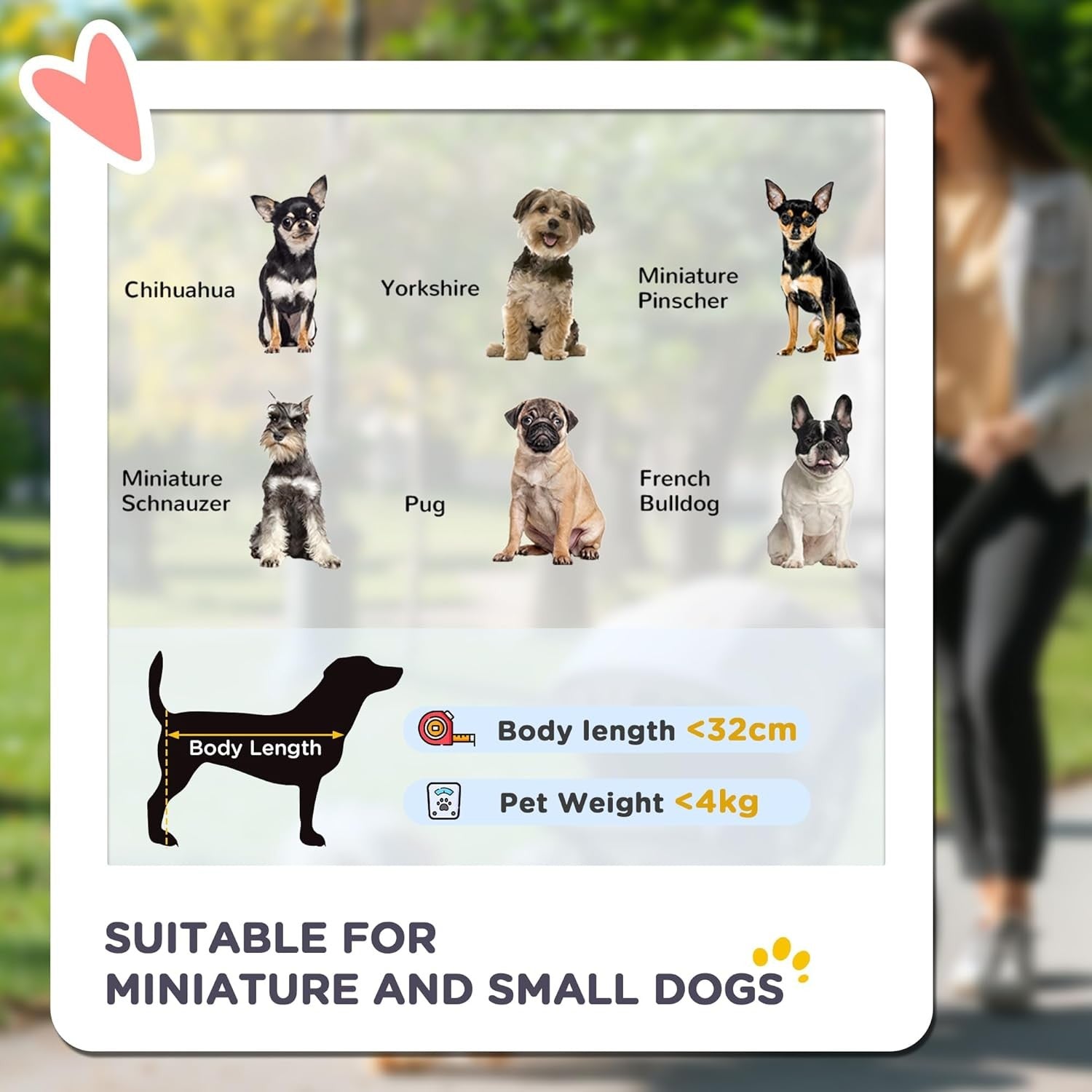 Pet Travel Stroller Dog Pushchair 4 Wheel Foldable Safety Leash Cup Holder