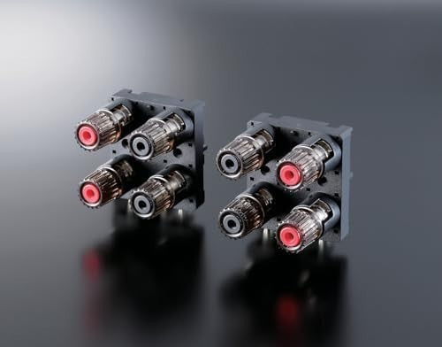A-S301 Stereo Amplifier 60W DAC HiFi Home Audio Receiver
