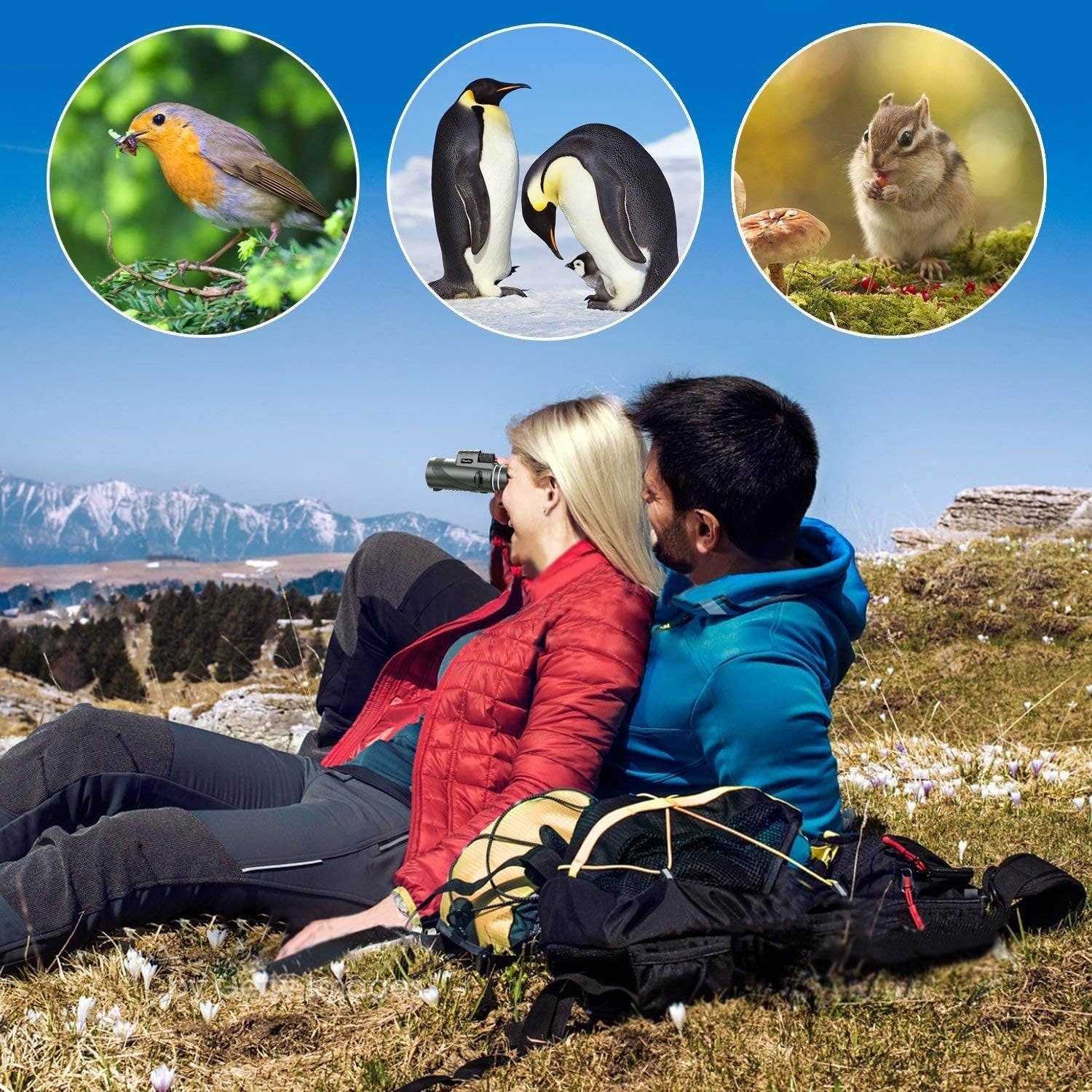 40x60 HD Monocular Telescope Green with Tripod Smartphone Adapter